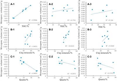 Composition Effect on the Pore Structure of Transitional Shale: A Case Study of the Permian Shanxi Formation in the Daning–Jixian Block at the Eastern Margin of the Ordos Basin